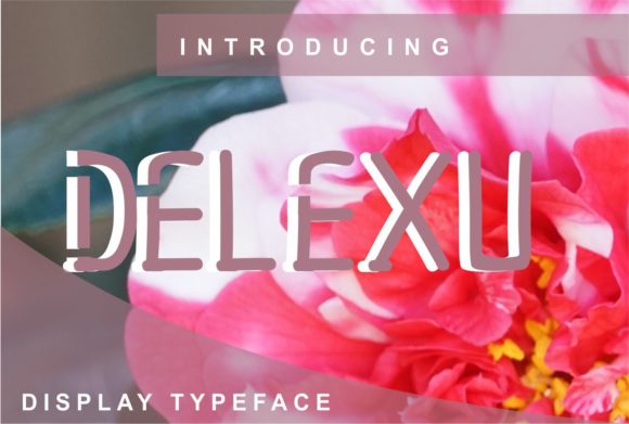 Delexu: A Display Font That Elevates Campaign Visuals with Style and Clarity