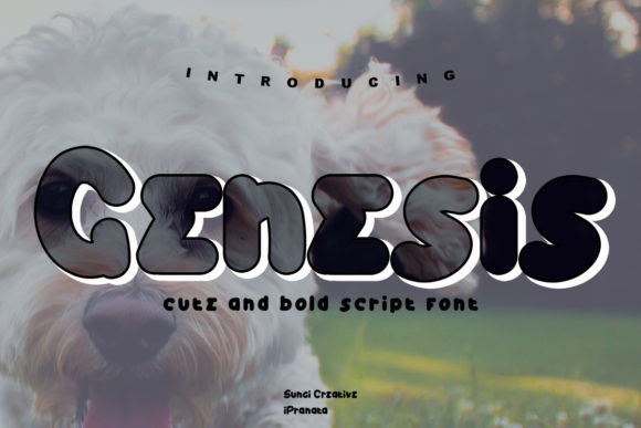 Genesis: A Friendly Display Font for Branding with Personality