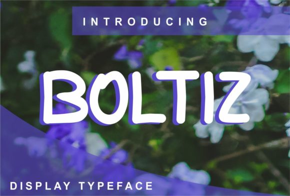 How Boltiz Brings Clarity and Character to Editorial Design