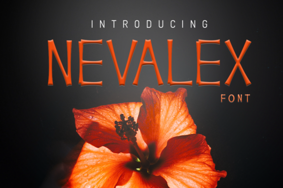 How Nevalex Became My Go-To Display Font for Branding Projects