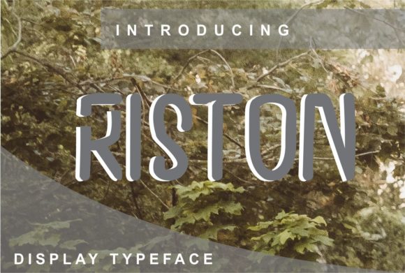 Riston: A Cool Display Font That Elevates Modern Branding Projects